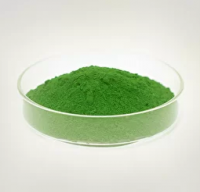 Магнитный порошок "Диагма-0473" (для сухой диагностики), 1 кг